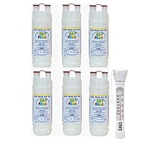 King Technology Pool Frog Mineral Purifier Replacement Chlorine Bac Pac - 6 Pack Bundled with Floating Buoy Üben Pool Thermometer