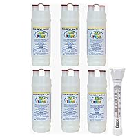 King Technology Pool Frog Mineral Purifier Replacement Chlorine Bac Pac - 6 Pack Bundled with Floating Buoy Üben Pool Thermometer