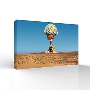 SIGNFORD Canvas Wall Art for Living Room,Bedroom Home...