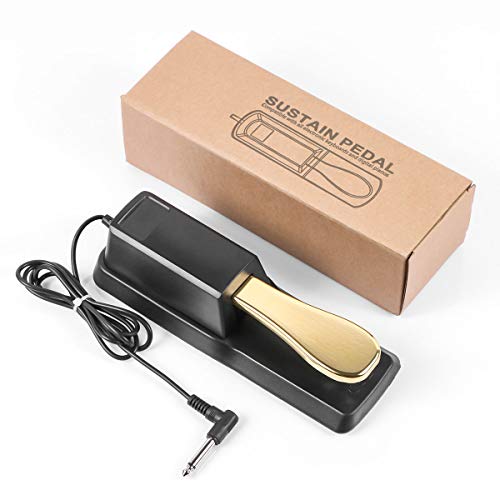 Sustain Stand Pedal for Digital Piano Keyboard, Piano Foot Damper Pedal, Universal for Casio Behringer Korg Moog Roland Yamaha Piano Midi Electronic Keyboards and Digital Pianos (Gold) - Thumbnail 6