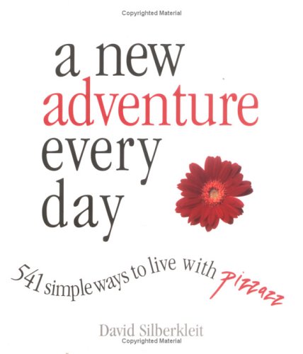 A New Adventure Every Day 541 Simple Ways To Live With Pizzazz Silberkleit David Amazon Com Books