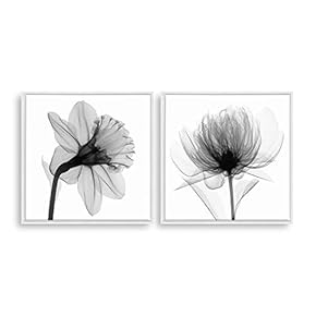2 Piece Framed Canvas Home Artwork Decoration Transparent Flower Canvas Wall Art for Living Room, Bedroom - 16"x16"x2 Panels