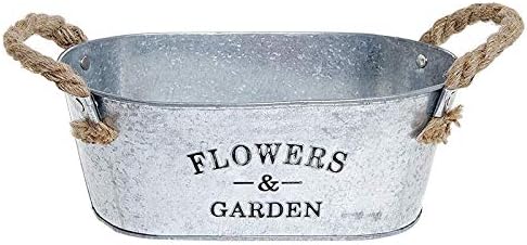 Fanuse - Recipiente de plantas suculentas de metal de diseño de cubo de