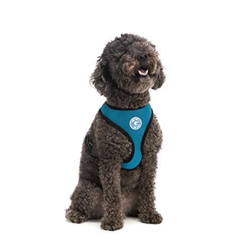 Gooby - Soft Mesh Harness, Small Dog Harness with Breathable Mesh, Sea Blue, Medium