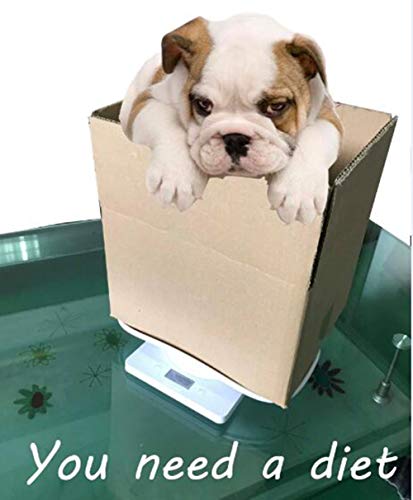Aochol Digital Pet Scaleï¼ŒLCD Electronic Scales for Measure Baby, pet, Dog Food,High Precision pet Electronic Scale, Capacity up to 10 kg /22 lb(White)