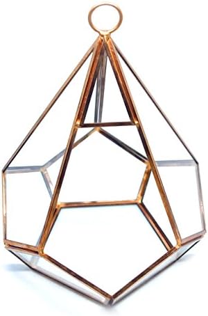Cvens Clear Glass Terrariums,Geometric Terrariums,Geometric Air plants terrarium,Succulent planters,Artficial Plants Air Plant Geometric Terrariums Holder for Tabletop Succulent Plants Holder