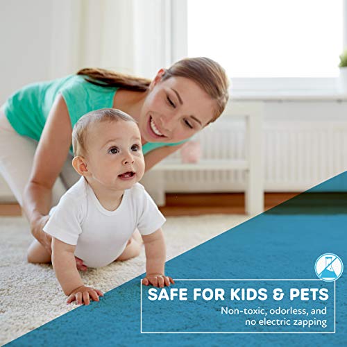 5 Original+Indoor+Insect+Trap+Non+Toxic