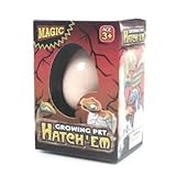 Rhode Island Novelty Hatching Dinosaur Egg by Papillon Gift