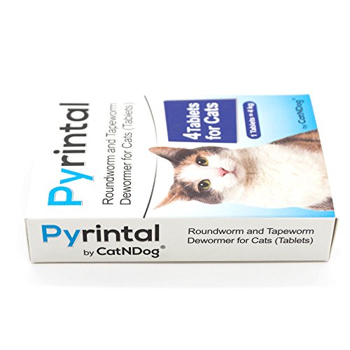 Tapeworm Dewormer for Cats (3 Tablets) Pets Trend Store