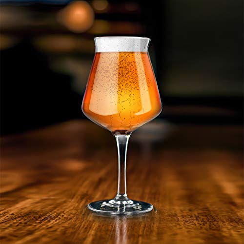Nucleated Teku 3.0 Stemmed Beer Glass by Rastal Nucleation Pint