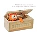 Tiger Useless Box, Hezong Don't Touch Gag Toys (Real Wood)