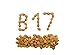 Apricot Kernels/Seeds (1 Pound / 454 grams) Hunza Gold Bitter Certified Organic Raw