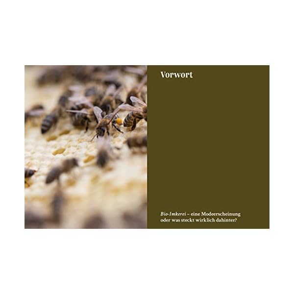 Bio-Imkern in der Stadt und am Land: Monat für Monat durchs Bienenjahr – Bild 5