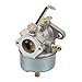 Hipa 632230 Carburetor carb for Tecumseh 632272 H30 H50 H60 HH60 Engines with Fuel 3-Feet Fuel Line