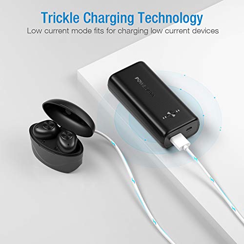 POWERADD Power Bank, EnergyCell 10000 Neo Portable Charger, Ultra-Compact 10000mAh Battery Pack, High-Speed Charging, IC Technology External Battery for iPhone, Samsung, Google LG and More