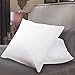 Sweet Home Collection Down Alternative Polyester Square Euro Pillow Insert (Pack of 2), 26 x 26