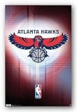 Atlanta Hawks Logo Sports Poster Print