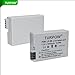 Canon LP E8 Battery-TURPOW 2 Pack Replacement Canon LP-E8 1800mAh Batteries and LCD Dual Charger for Canon EOS Rebel T5i T4i T3i T2i EOS 600D 550D 650D 700D Kiss X5 X4 X6i X7i
