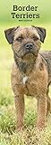 Border Terriers 2020 6.75 x 16.5 Inch Monthly Slimline Wall Calendar, Animals Dog Breeds Terriers by