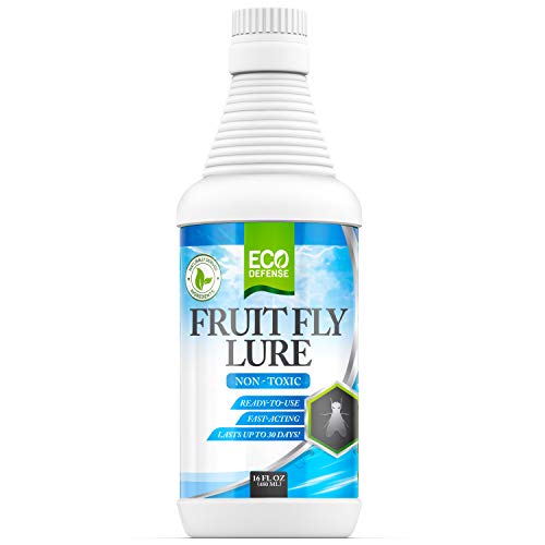 Eco Defense Fruit Fly Killer Natural Fruit Fly Trap & Drain Fly