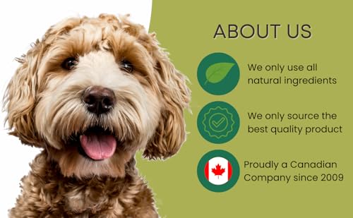 ODOURFREE 6" Thin Bully Sticks for Dogs (20 Pack) Dental Chew - Rawhide Free - Single Ingredient All Natural Beef Chew - Consistent Size - for Small Dogs/Puppies - Canadian Company