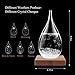 KYMAKE Storm Glass Weather Predictor - Creative Crystal Glass Bottle Desktop Drops Craft Weather Station with Pure Wood Base - High-Class Decoration on Home & Office (Large)