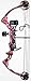 PSE Stinger X RTS Red Skull Works 70# Right Hand Package Set