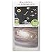 RoomMates RMK1003SCS Space Travel Peel and Stick Wall Decals