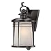 Westinghouse 6674100 Senecaville One-Light Exterior Wall Lantern, Weathered Bronze Finish on Steel with White Alabaster Glass
