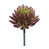 MagiDeal Artificial Succulent Real Touch Echeveria Flower Foliage Plant Decor Purple