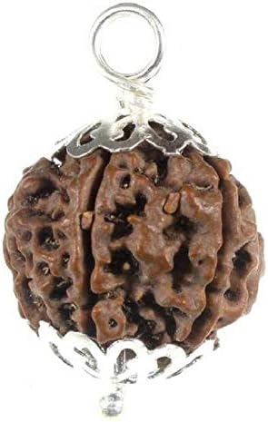 Shivoham 7 Mukhi Rudraksha with Silver Cap (Brown)