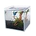 Boutique Betta Rimless Low Iron Glass Aquarium Tank 20x20x20cm 5mm Thickness Standard Jointedthumb 2