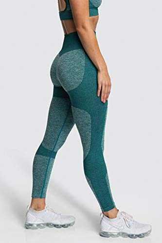 MOYOOGA Seamless Workout Leggings for Women High Waisted Leggings for Yoga Gym Sports (Forest Green, L)