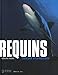 Requins : Entre peur et connaissance by