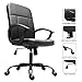 Office Chair, Ergonomics Mesh Chair Computer Chair Desk Chair High Back Chair w/Adjustable Headrest and Armrest
