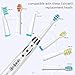 Sonic Toothbrush Clean as Dentist Rechargeable Whitening Electric Toothbrush 4 Hours Charge Minimum 30 Days Use 3 Modes Waterproof 3 Brush Heads with Smart Timer White by Fairywill