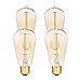 Edison Bulb by Deneve - Standard - 4 Pack - Thomas Edison Light Bulb, Edison Light Bulb, Edison Bulb Lamp, Edison Bulb 40w, Edison Bulbs, Edison, Light Bulbs, Chandelier Edison Bulb