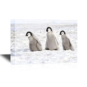 Canvas Wall Art - Three Penguins - Gallery Wrap Modern Home Art | Ready to Hang - 12x18 inches