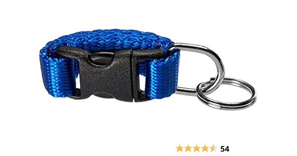 Amazon Com Tag It Pet Id Tag Holder Blue Pet Identification Tags Pet Supplies