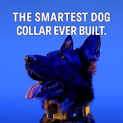 Fi Series 3 Smart Dog Collar - GPS Dog Tracker and