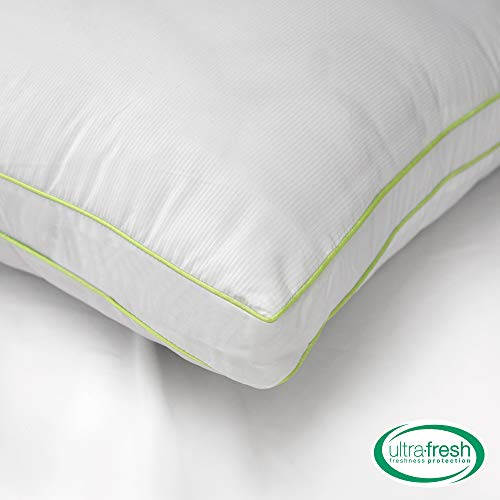 BioPEDIC 2 Pack UltraFresh Luxury Gusseted Pillow with Nanotex Coolest