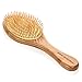 Dry Scalp Paddle Brush for Hair -Large - by Beyond 100 Naturals