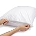 Amazon Basics Queen Pillowcase with Zipper, 100% Cotton Hypoallergenic, Pillow Protector, White (31 x 21 Inches), Pillows Not Included