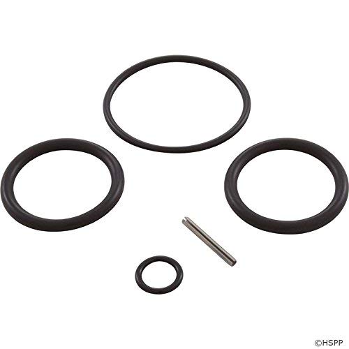 Pentair 263054 Push Pull Valve ORing Replacement Kit eBay