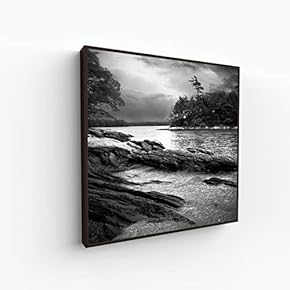 Canvas Wall Art for Living Room, Bedroom Silence Framed Canvas Prints for Home Decoration Ready to Hang - 16x16 inches