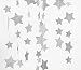 FECEDY Sparkling Star Garland Bunting for Birthday Wedding Engagement Bridal Shower Baby Shower Bachelorette Holiday Celebration Party Decorations 13 feet (Silver) primary