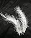 100pcs White Feathers Fluffy Turkey Marabou Feathers 4-6 Inches for Crafts Dream Catcher Fringe Trim Colored Feathers Fly Tying Material