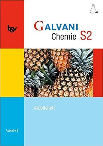 Galvani – Chemie S2 – Arbeitsheft