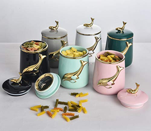 MASMOY Ceramic Storage Jar Skipping Dolphin Canister with Airtight Ceramic Lid, 27.05 FL OZ (800ML) Light BLue Container for Home Serving for Whole Bean Coffee, Pasta, Sugar and More