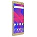 BLU Vivo XL3 -5.5” HD+ 18:9 Display Smartphone with Android 8.0 Oreo –Gold